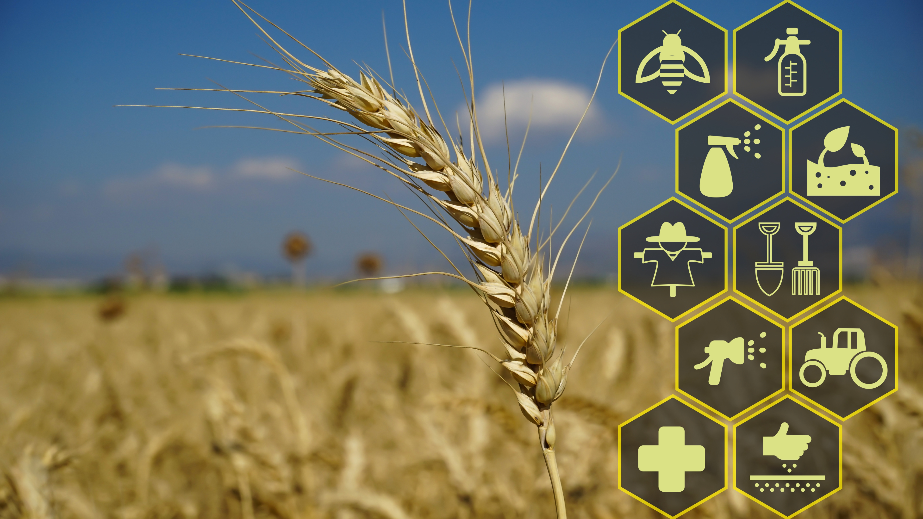 لقد أصبح تطوير وتنفيذ عمليات الزراعة المعتمدة على الدقة أو الزراعة المعتمدة على تخصيص المناطق بدقة , ممكنا عن طريق الجمع بين نظام التموضع العالمي وأنظمة المعلومات الجغرافية.
وجاءت تقنيات النظم المعلوماتية الجغرافية و الاستشعار عن بعد لتحقيق كل هذا لما تتميز به المعطيات الاستشعارية من دقة وشمولية وتعددية طيفية وتكرارية زمنية.